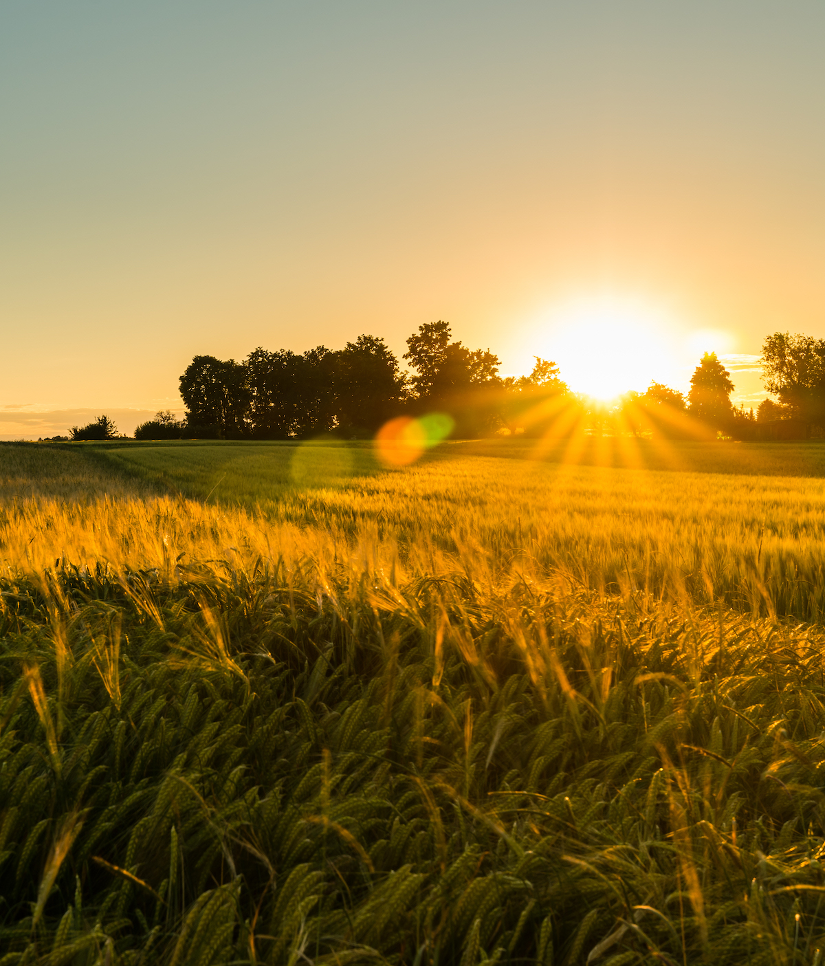 We’re building a safer, more sustainable world