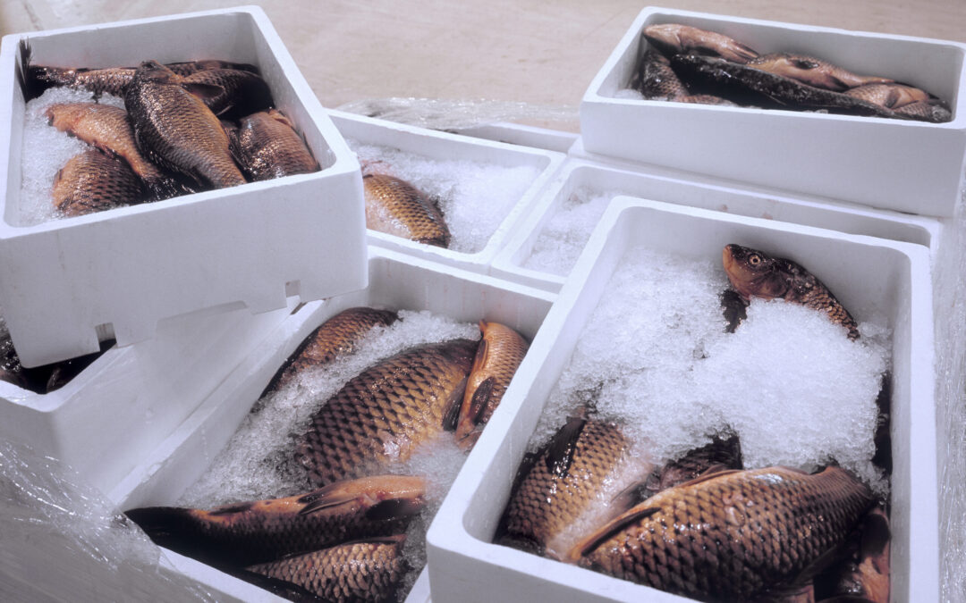 The Importance of Absorbent Pads in the Seafood Supply Chain